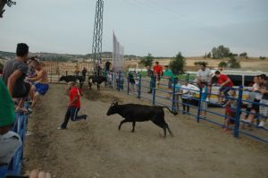 FIESTAS PATRONALES VENIALBO 2013