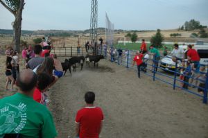 FIESTAS PATRONALES VENIALBO 2013