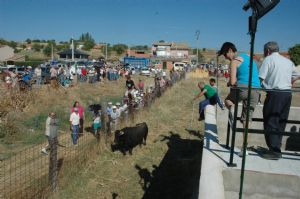 FIESTAS PATRONALES VENIALBO 2013