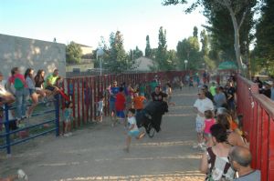 FIESTAS PATRONALES VENIALBO 2013