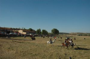 FIESTAS PATRONALES VENIALBO 2013