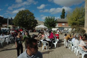 FIESTA DE LA VENDIMIA VENIALBO 2013. 