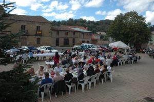 FIESTA DE LA VENDIMIA VENIALBO 2013. 