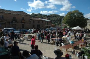 FIESTA DE LA VENDIMIA VENIALBO 2013. 