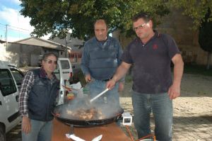 FIESTA DE LA VENDIMIA VENIALBO 2013. 